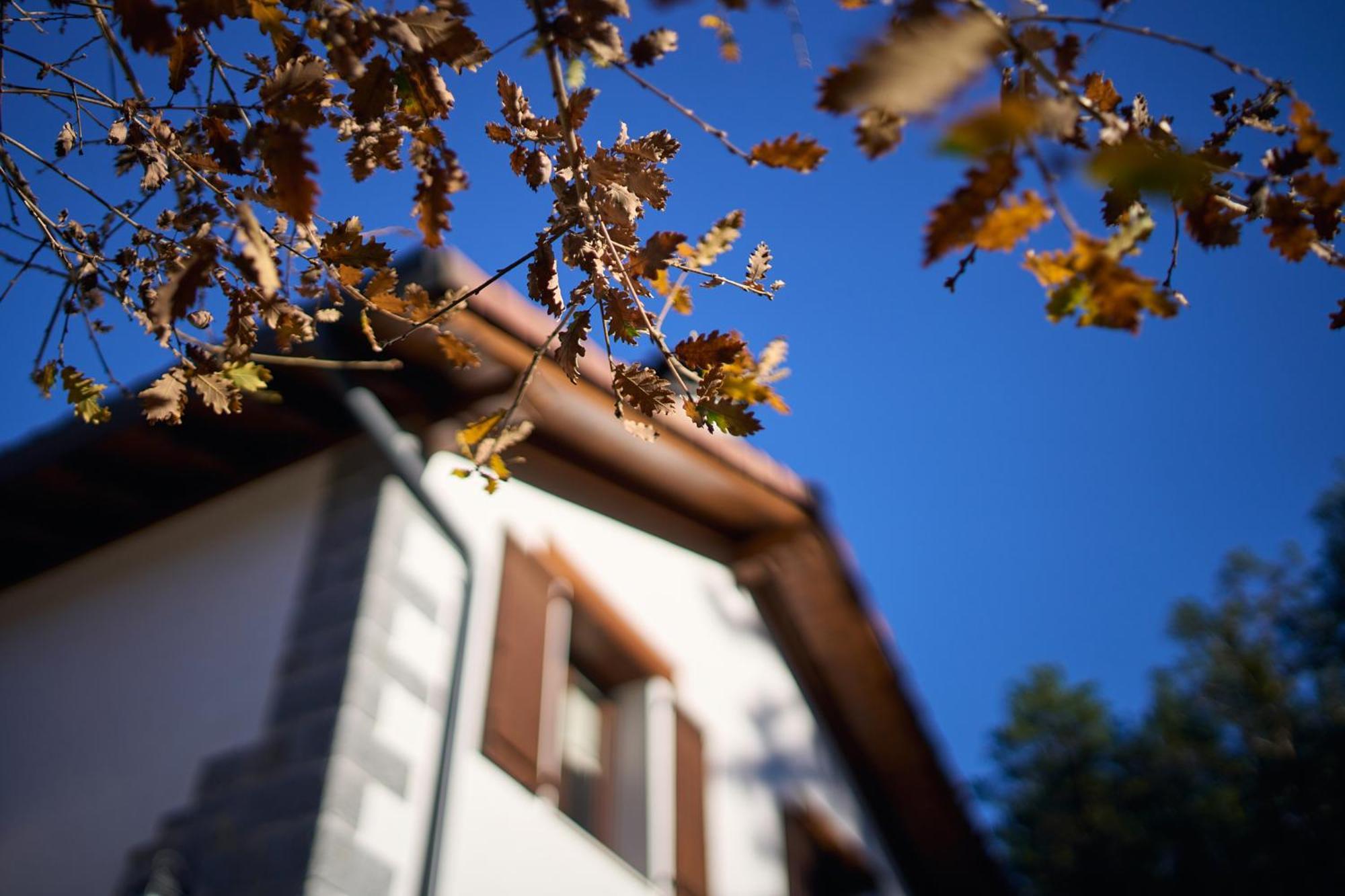 Arpetxea Casa Rural Roncal Bagian luar foto